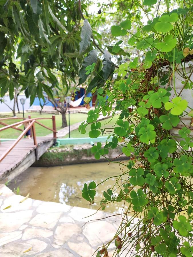 Cores Do Cerrado - Chales E Suites Goiás المظهر الخارجي الصورة